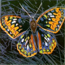 Haga click para ver la imagen ampliada butterfly.jpg