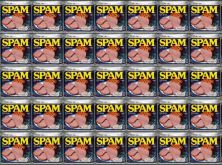 Haga click para ver la imagen ampliada spam.jpg