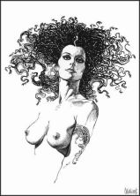 Haga click para ver la imagen ampliada 141.jpg