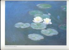 Haga click para ver la imagen ampliada nymphnas.jpg