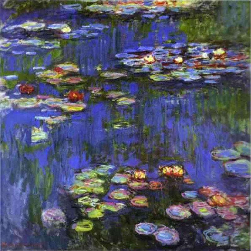 water-lilies.jpg