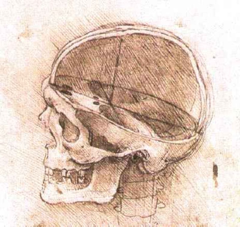 skull1.jpg