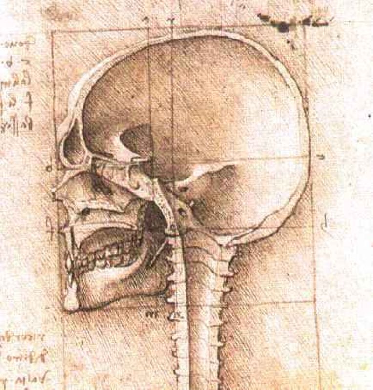 skull2.jpg