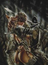 Haga click para ver la imagen ampliada royo154.jpg