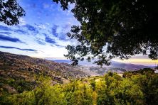 Haga click para ver la imagen ampliada apujarra-almeriense.jpg