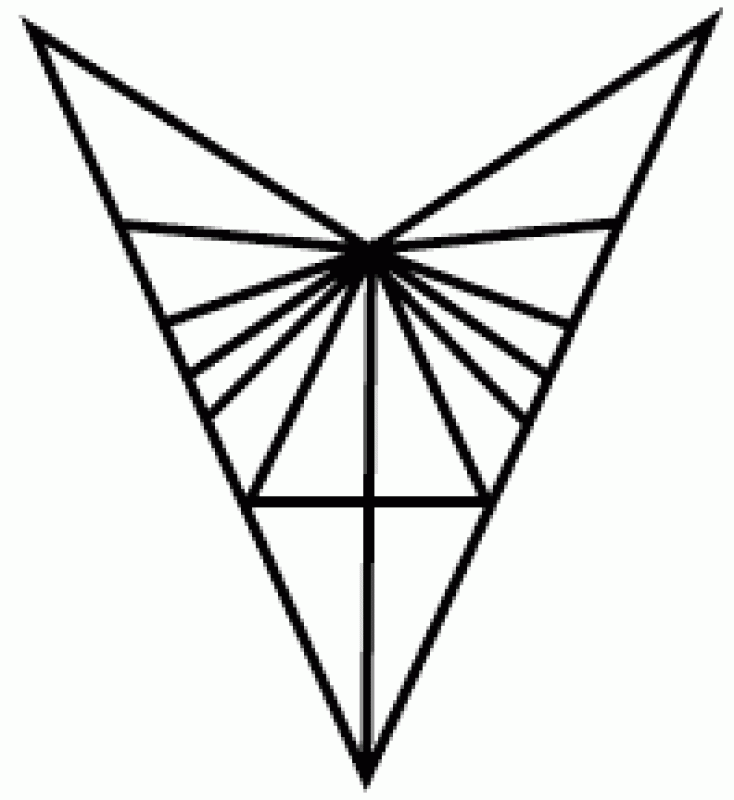 triangulo2.gif
